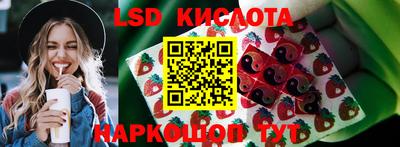 jwh Кингисепп