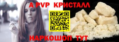 jwh Кингисепп