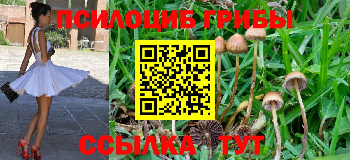Галлюциногенные грибы MAGIC MUSHROOMS Кыштым